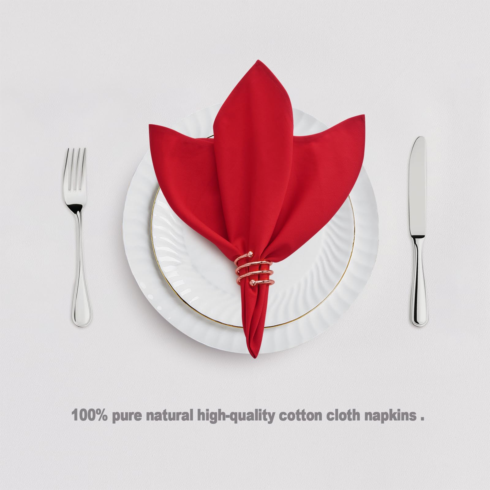 WAITER TREE Cotton Cloth Napkins 50 x 50 cm 12pcs Soft Absorbent Washable Napkins Cloth for Dinner Hotel Restaurant Parties Red - Image 2