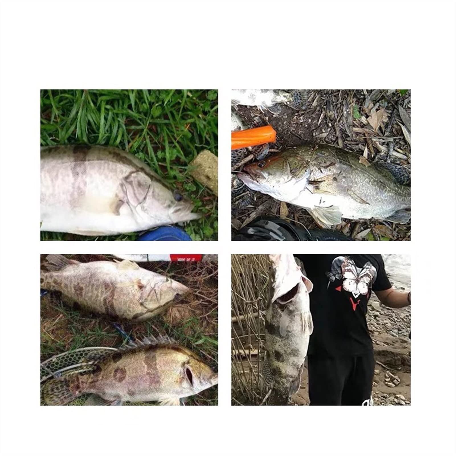 Luroad, 5 Ganci Per Pesca In Mare, Per Pesca In Mare Per Spiagge - Foto 3