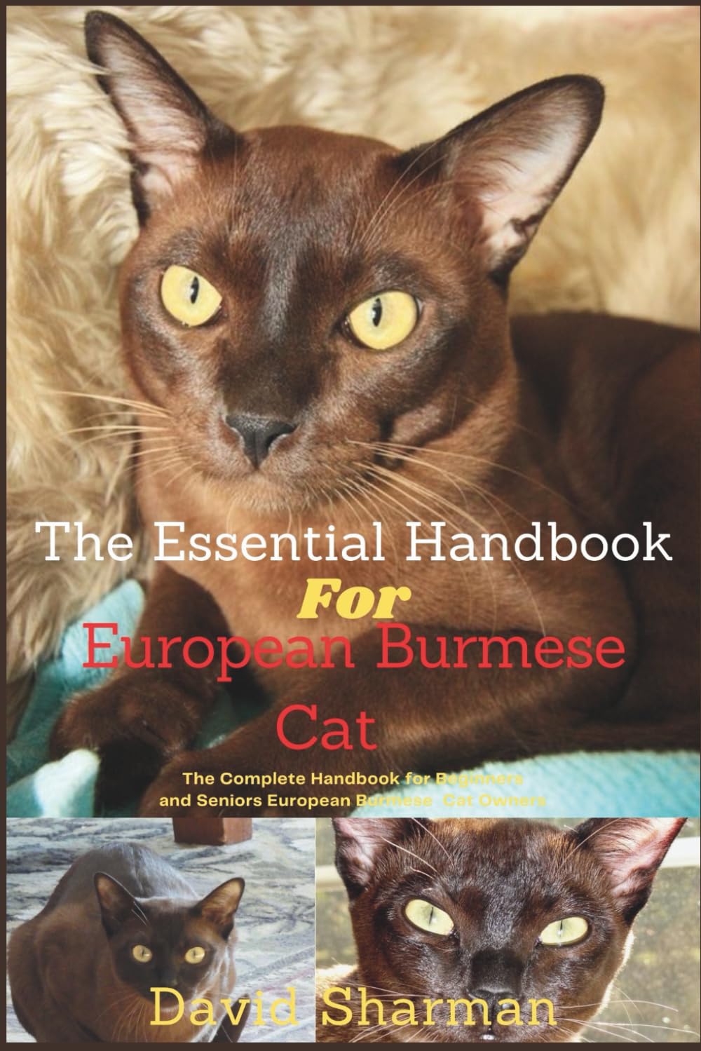 THE ESSENTIAL HANDBOOK FOR EUROPEAN BURMESE CAT: The Complete Handbook For Beginners And Seniors European Burmese cat owners
