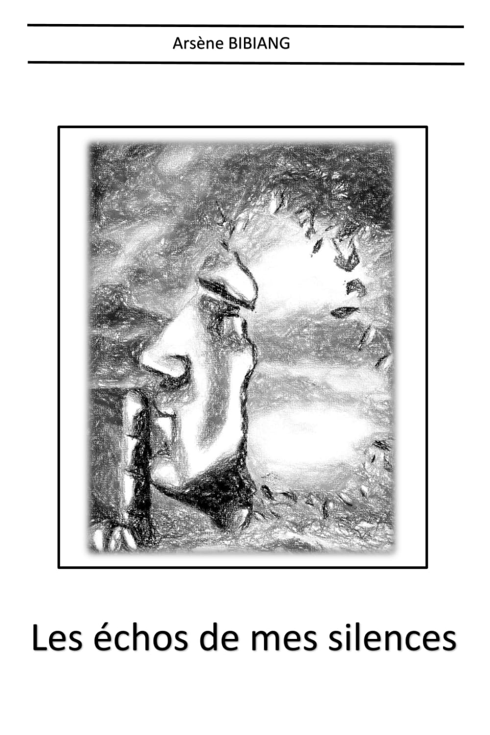 Les échos de mes silences