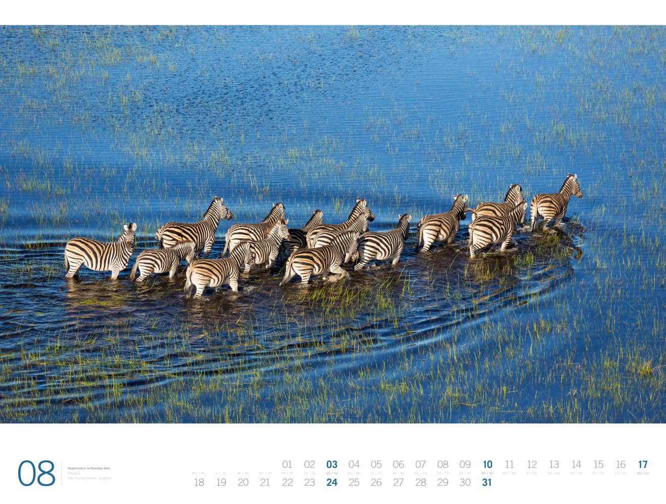 Afrika - Ackermann Gallery Kalender 2025, Wandkalender im Querformat (66x50 cm) - Großformat-Kalender / Hochwertiger Panorama-Kalender Tiere und Natur