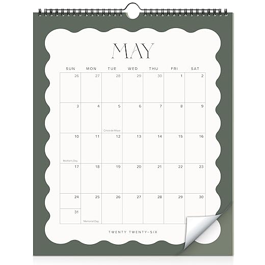 Aesthetic 2026 Wall Calendar - Runs from January 2026 Until July 2027 - The Perfect Large Modern Calendar Planner for Easy Organizing