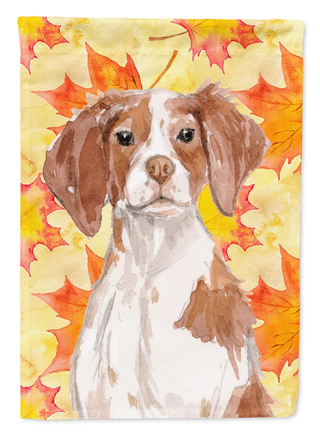 Drapeau Brittany Spaniel de grande taille pour décoration de maison