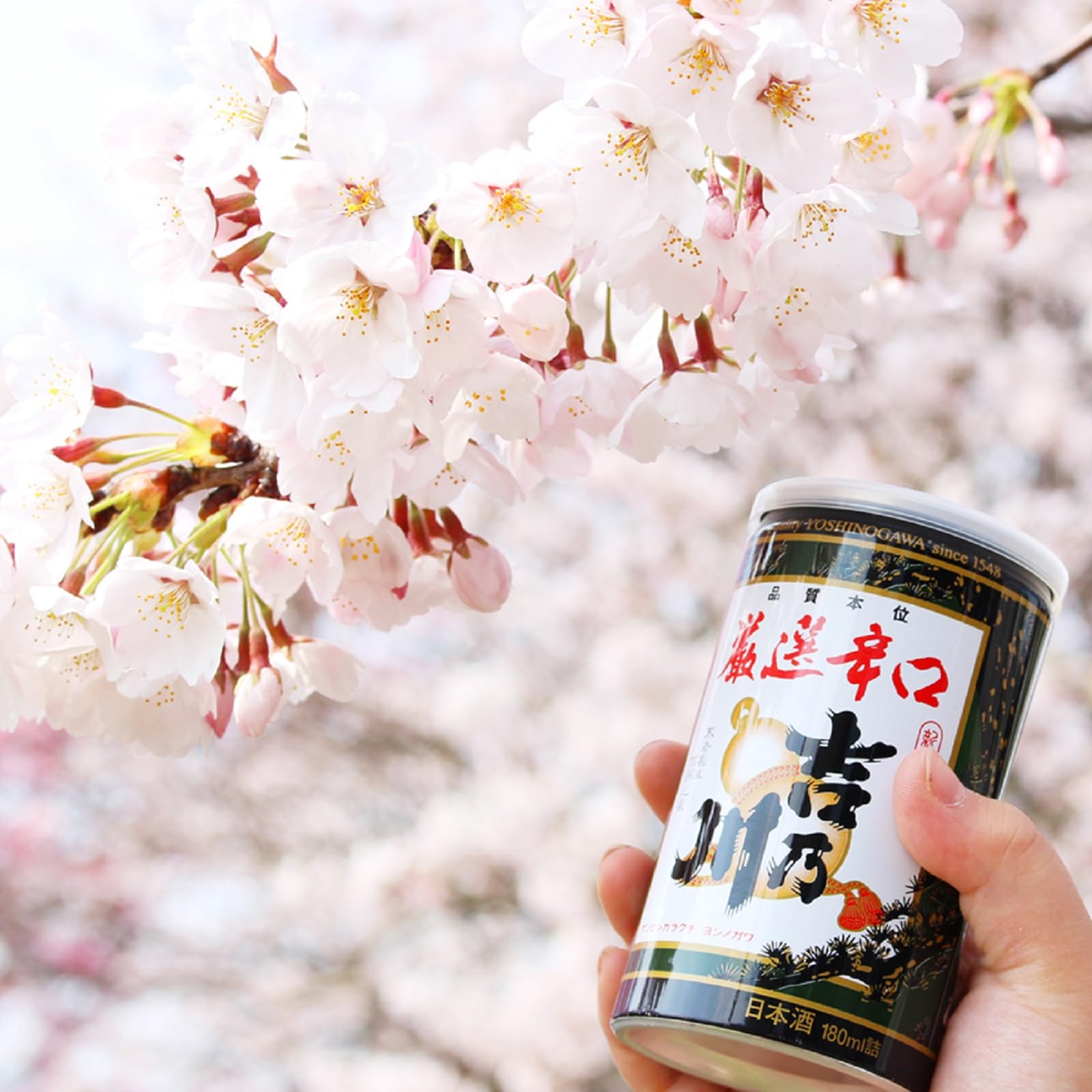 Amazon.co.jp: 吉乃川 厳選辛口 [ 日本酒 新潟県 180ml×30本 ] : 食品