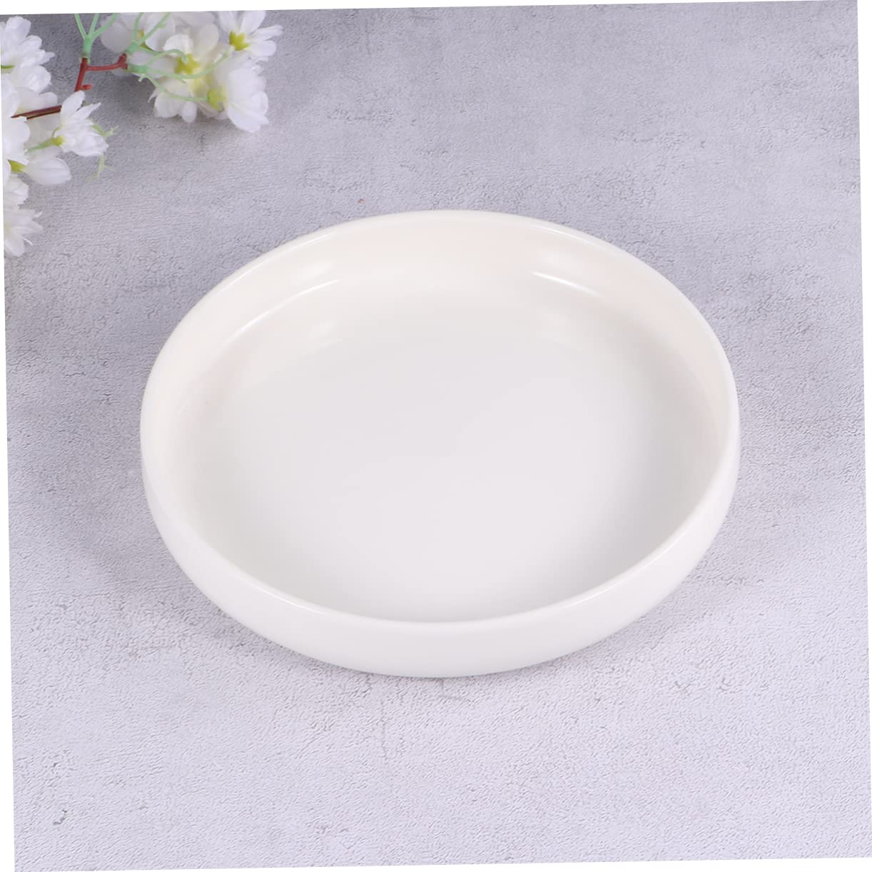 Milisten Ciotola per Rettili in Ceramica Bianca Leggera e Affidabile, Vaso Basso Adatto per Lucertole e Rane, per Mangiatoia per Tartarughe