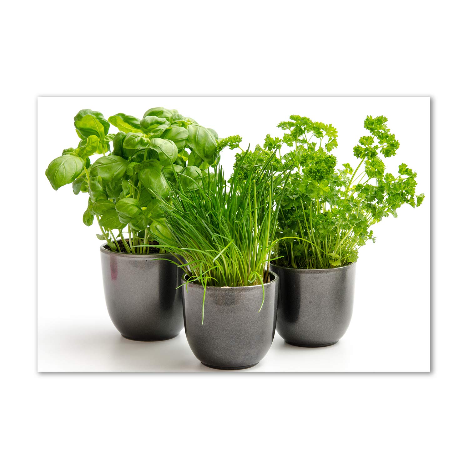 Image Verre Plastique Hierbas en maceta pour sublimer votre décoration de cuisine moderne