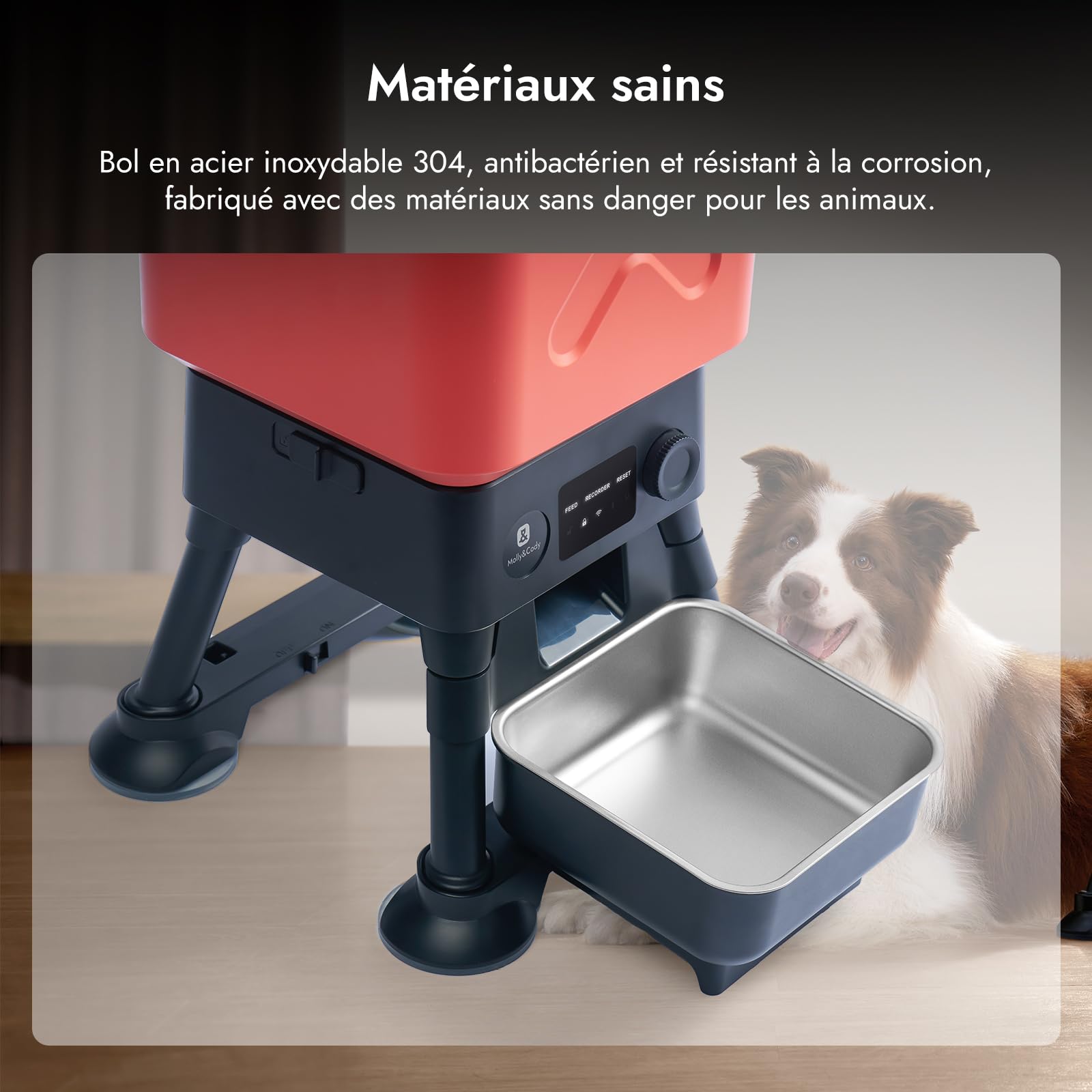 Molly&Cody Distributeur Automatique Croquette, 14L Grande Capacité Alimentateur Gamelle Automatique pour Animaux, Programmer 6 Repas, Acier Inoxydable Idéal pour Les Grands Chiens