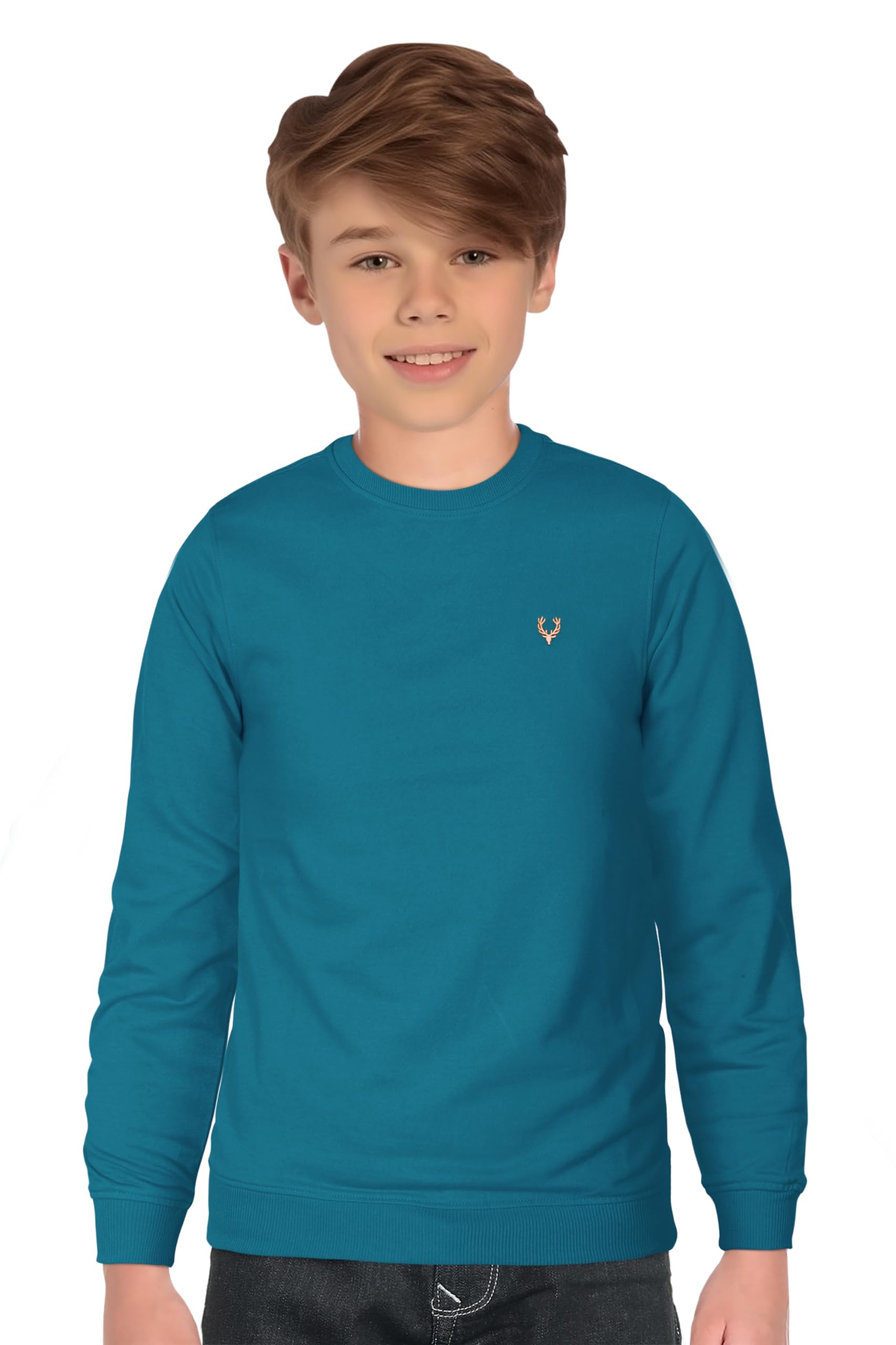 Allen Solly Boys Cotton Round Neck Sweatshirt