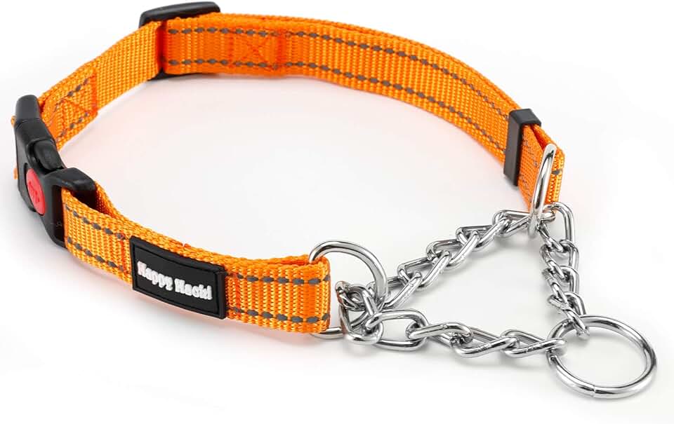 Amazon.co.uk half check dog collar