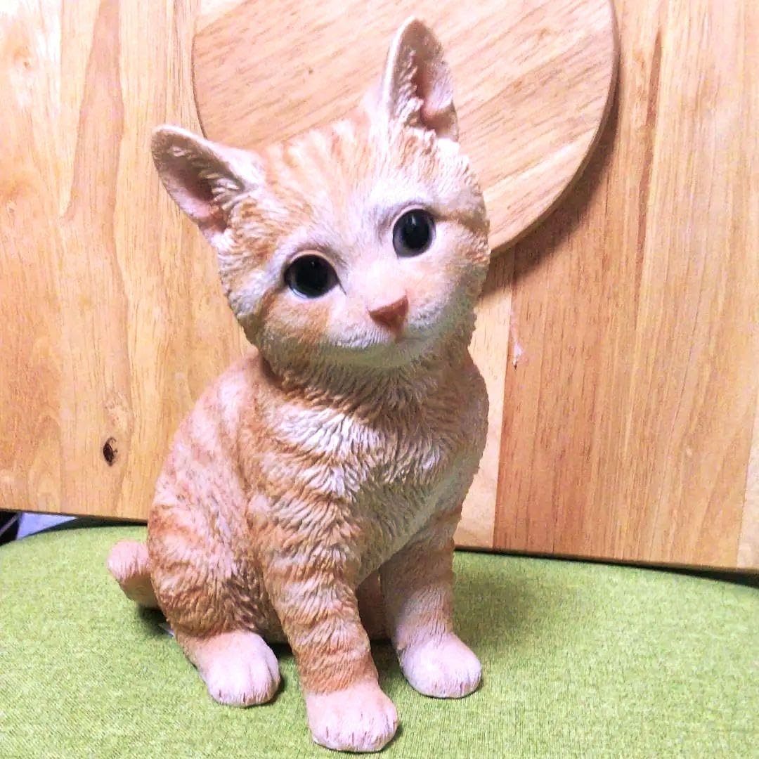 Amazon.co.jp: つぶらな瞳 ネコちゃん 茶トラ キジ猫 置いていかないで