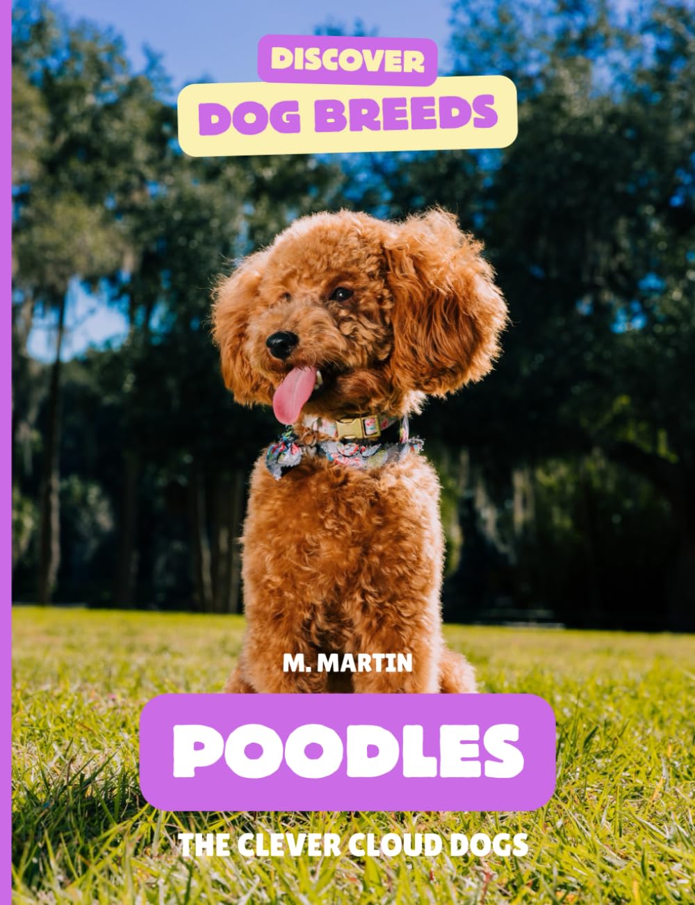 Poodles: The Clever Cloud Dogs (Discover Dog Breeds)