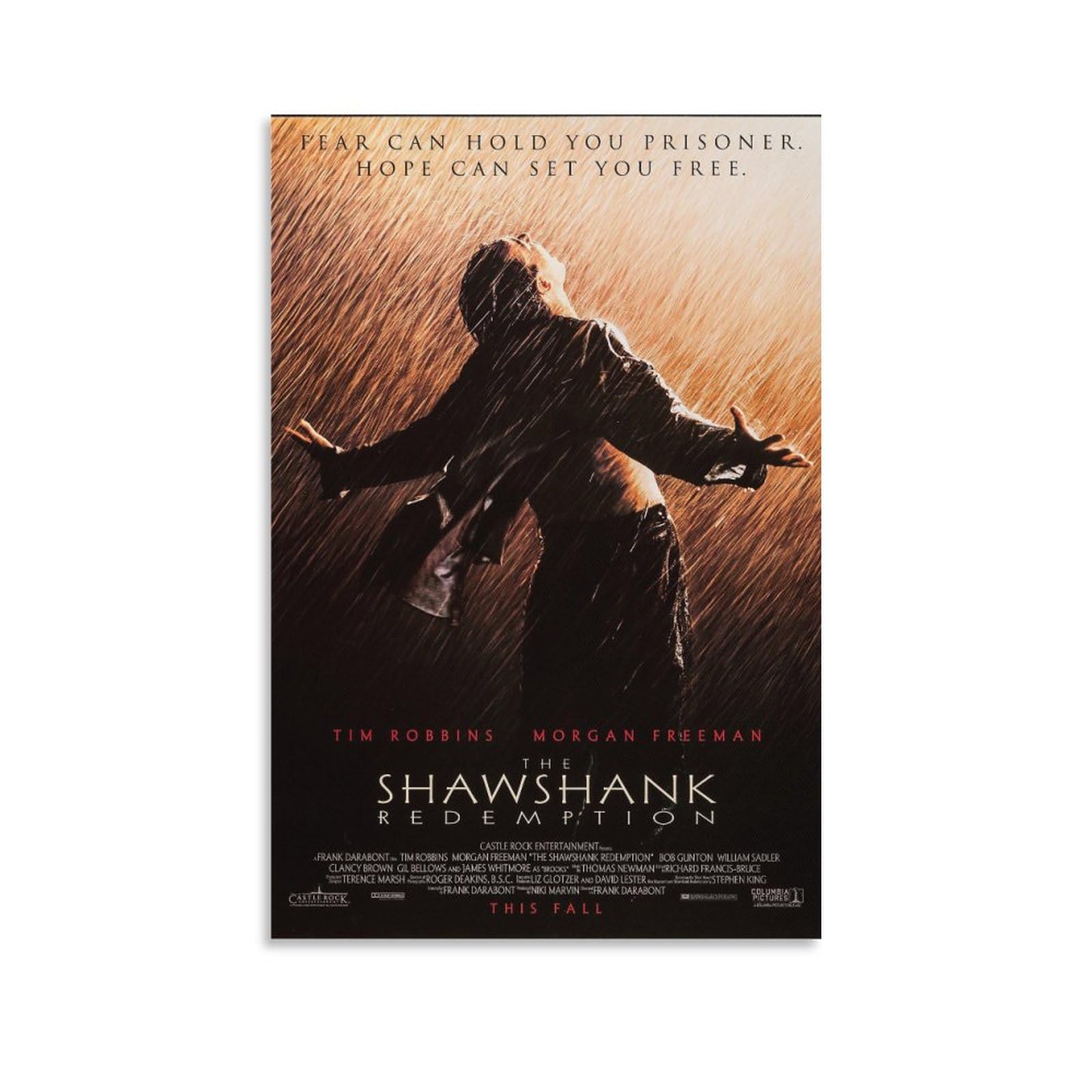 Amazon.co.jp: 映画ポスター、映画ショーシャンクの空に The Shawshank