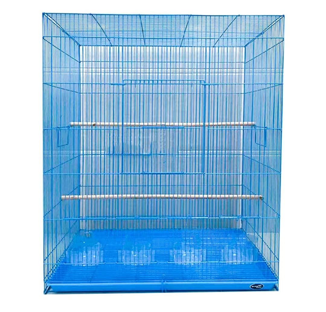 Lovely PET'S Kingdom-Bird cage for Budgies, Finches, Love Birds, Cocktails, Cuttlefish Bone Holder, 4 Cups, 2 Perch Sticks -(Colors May Vary, 29 Inch) Dimension : L-76 xW -46 xH- 90 cms