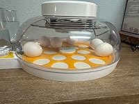 Review Image by Michele G. Michele G.