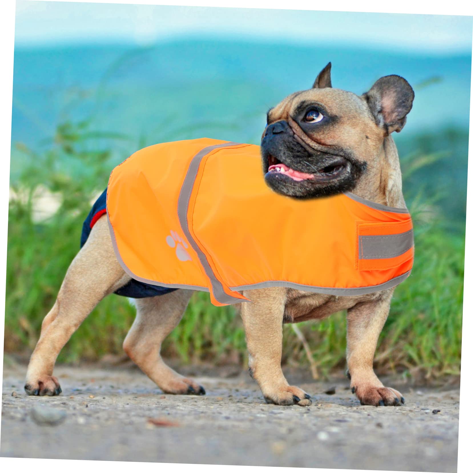 INOOMP 4stücke Reflektierende Hundeweste Aus Oxfordstoff Leuchtende Farbe Sicherheitsweste Für Outdoor-aktivitäten Geeignet Für Hunderassen