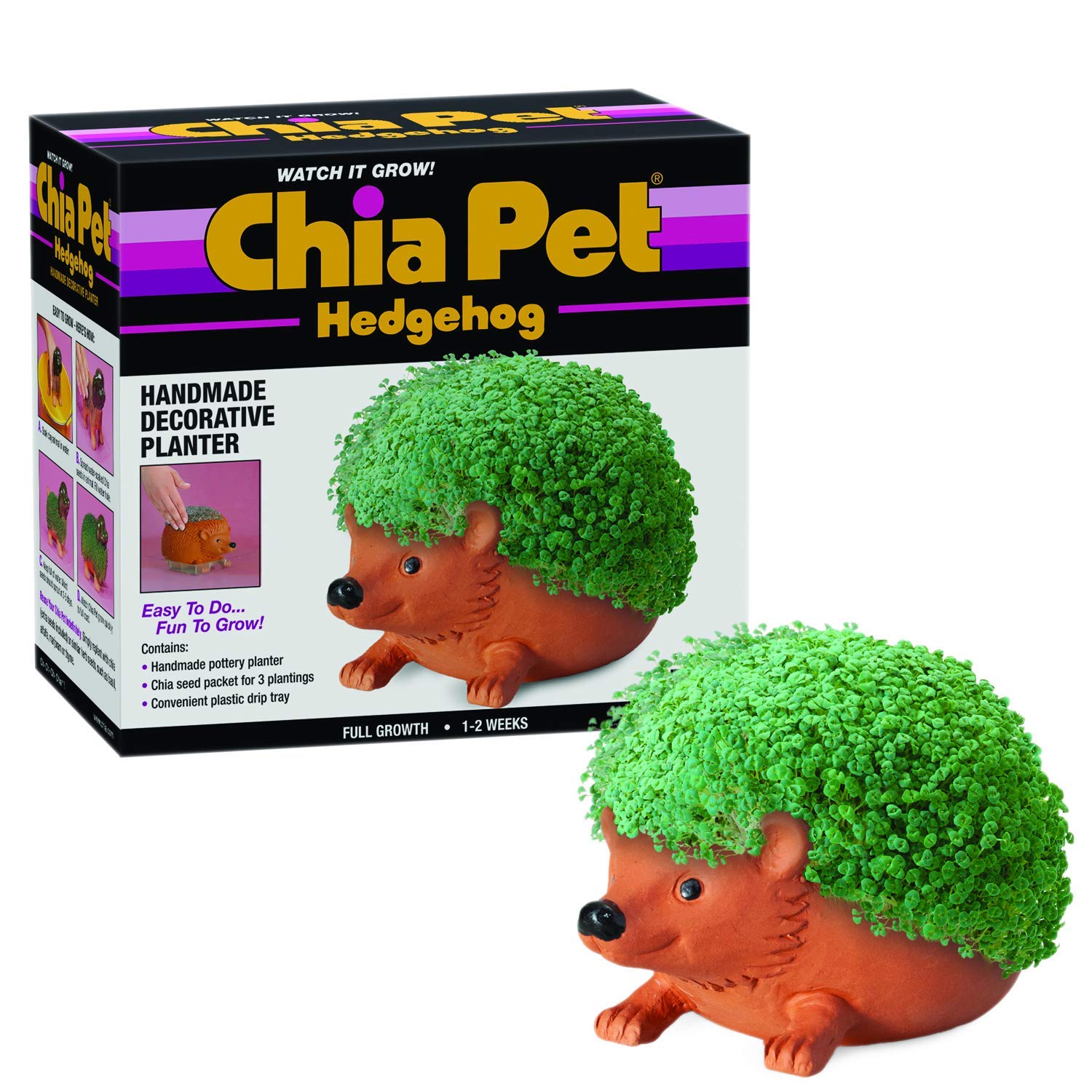 Chia Pet Planter- Hedgehog : Amazon.ca: Patio, Lawn & Garden