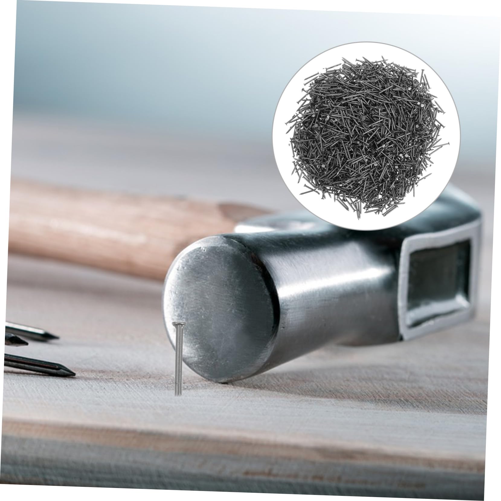 Alipis Kit Chiodi in Inossidabile Punta Perno per e Calcestruzzo Chiodi Resistenti e Leggeri per Lavori Finitura Confezione da Uso Professionale