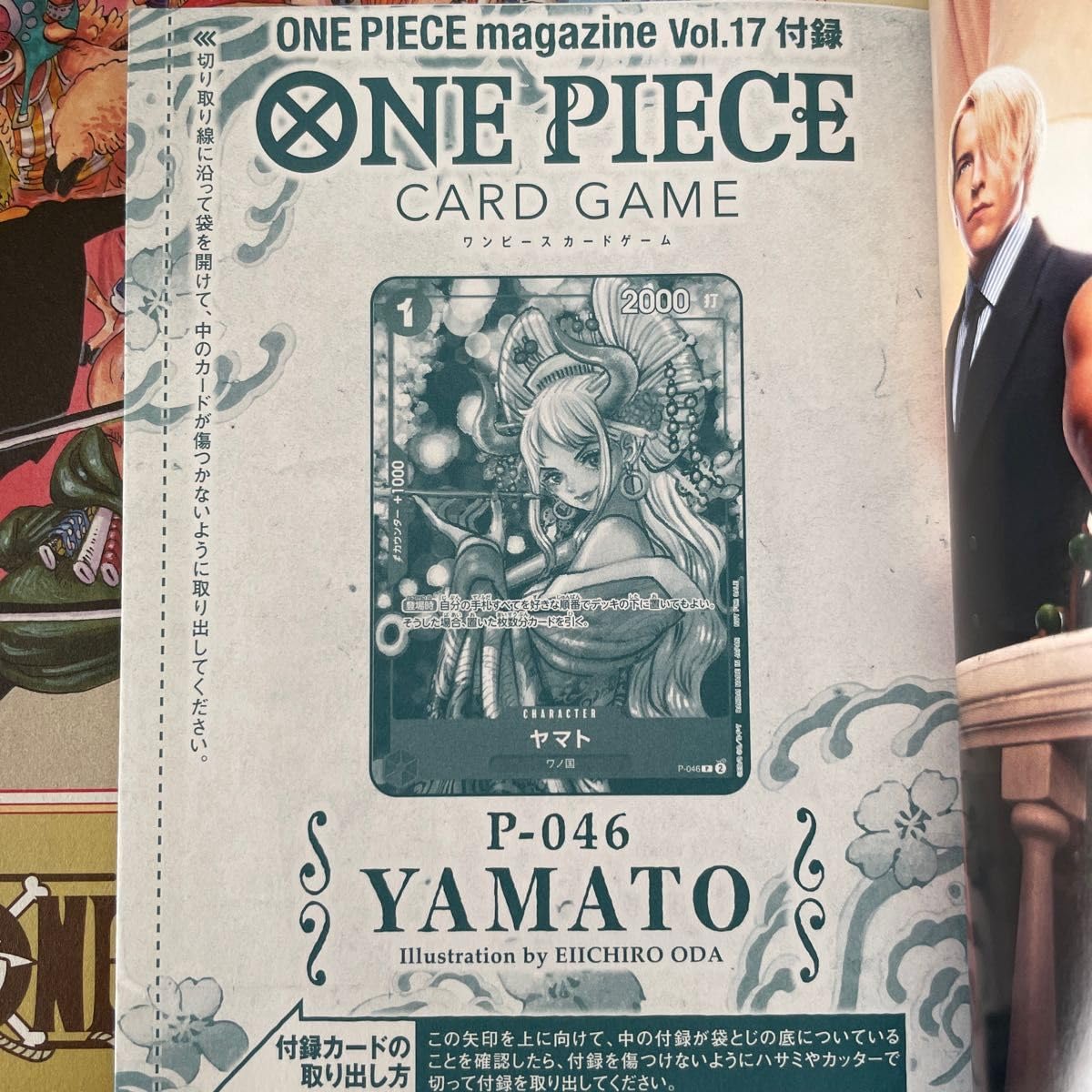 付録完備】ワンピースマガジン vol.17 花魁ヤマト プロモ付き ONE