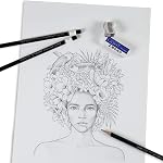 Tombow 51523 MONO Drawing Pencil, Assorted Degrees, Graphite 12-Pack, Black