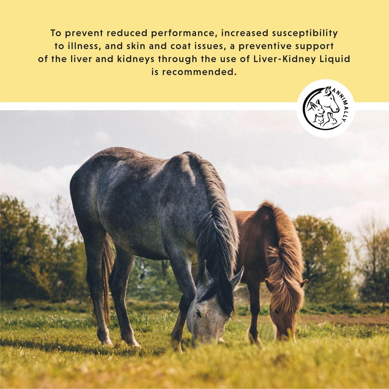 Annimally Liver-Kidney Liquid for Horses, Liquid Feed Supplement, Supports Liver & Kidney Function - Image 2