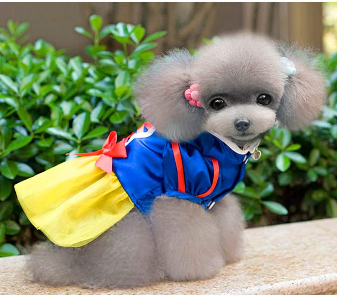 Amazon.co.jp: SHYPYG 犬のスカートペット製品ペットの犬の服白雪姫の