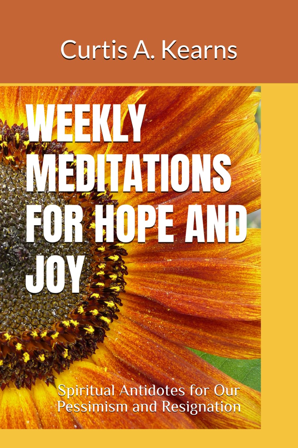 WEEKLY MEDITATIONS FOR HOPE AND JOY: Spiritual Antidotes for Our Pessimism and Resignation