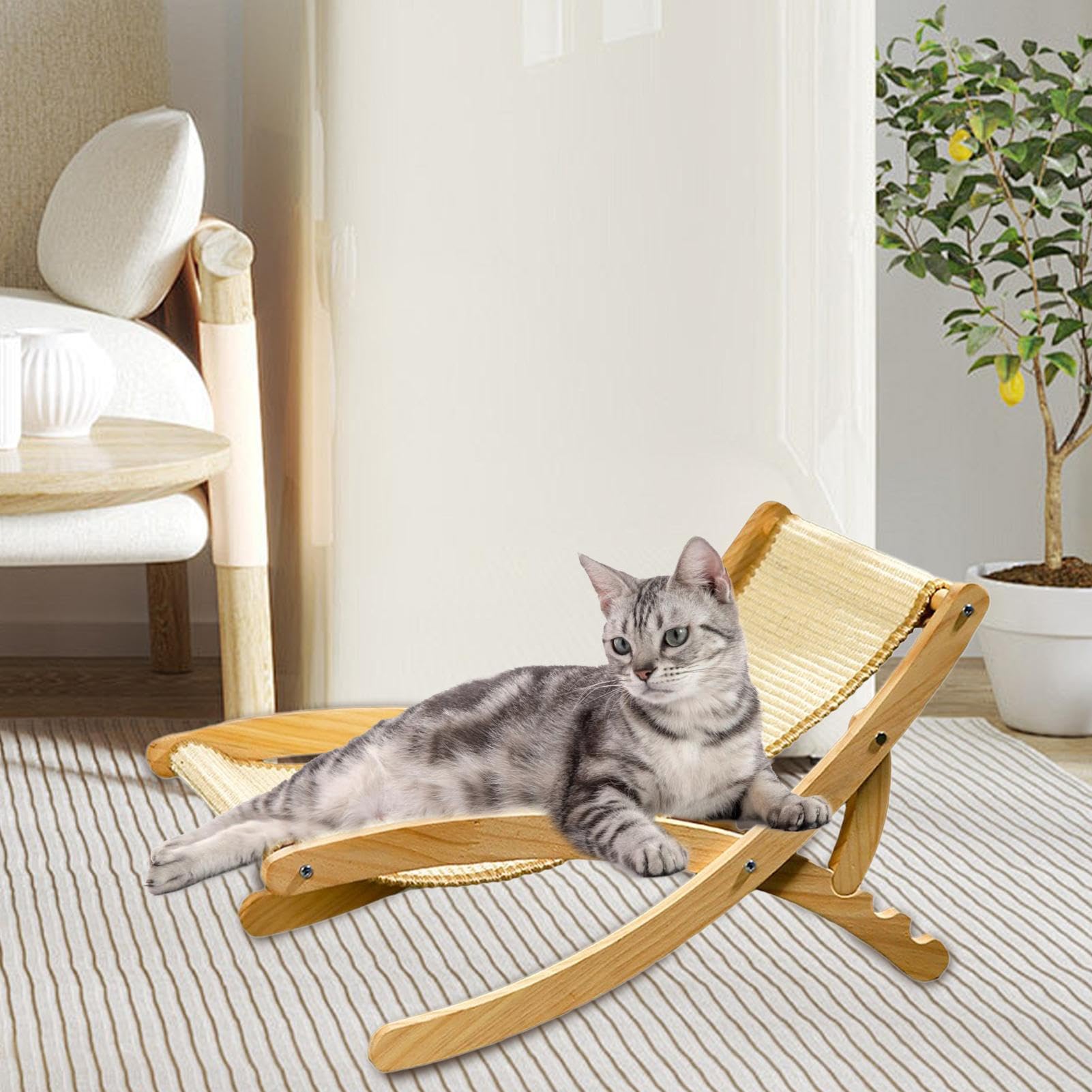 Sedia per Gatti Tiragraffi Regolabile Con