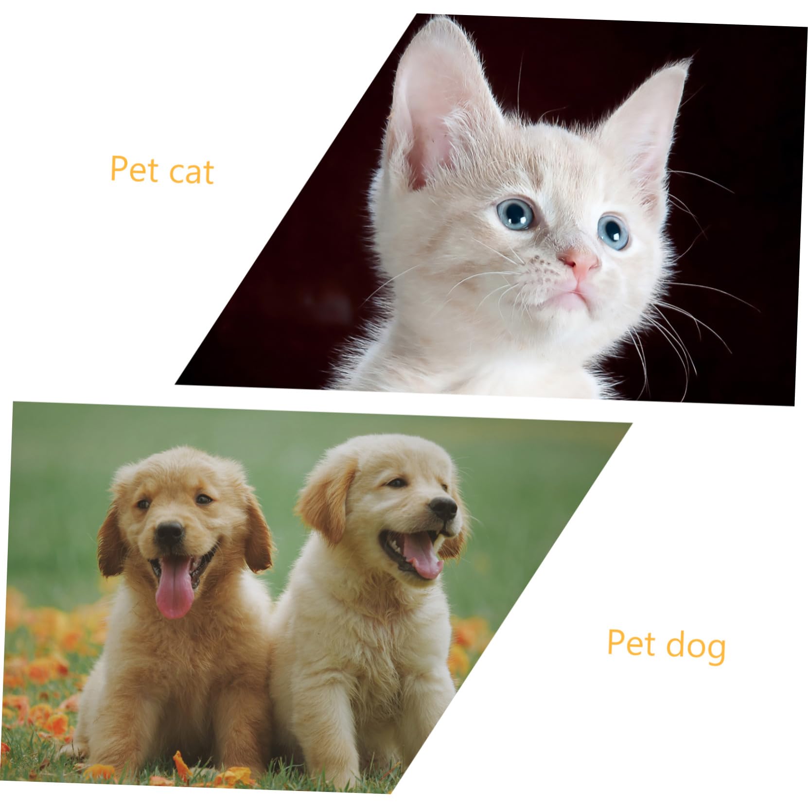 Sosoport 5sets Costume Per Animali Domestici Cappello e Mantello Forma Di Zucca Per Halloween Accessori Per Cani e Gatti Facile Da Indossare
