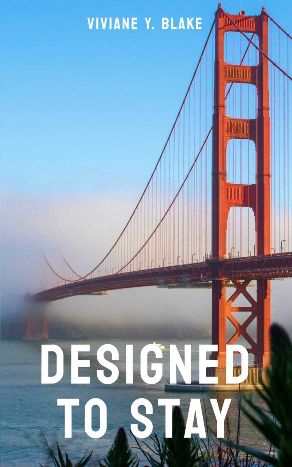 Designed to Stay: A Slow-Burn Contemporary Literary Romance Focused on Identity, Loneliness, and Belonging (Across the Lines)