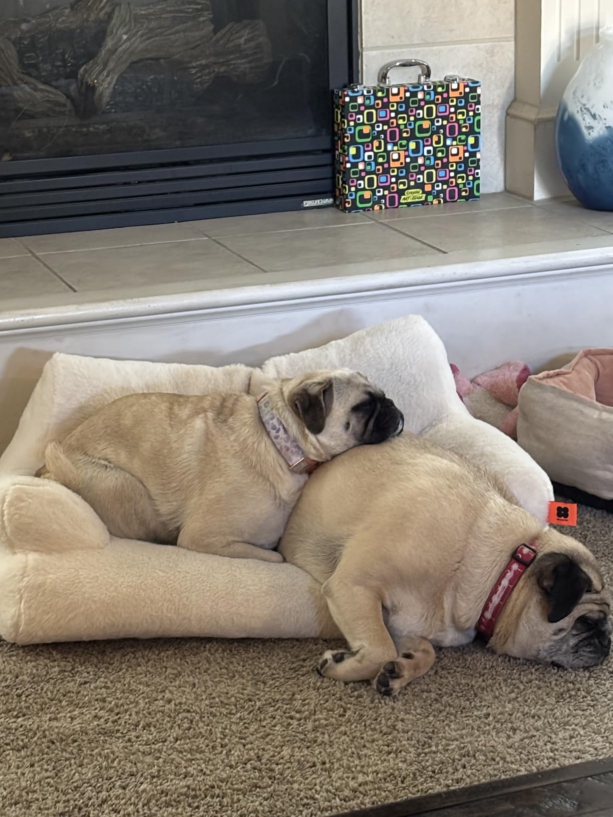 MEWOOFUN Cat Bed for Indoor Cats, Washable Dog Beds for Small Dogs & Cats with Removable Cover, Fluffy Cat Couch with Non-Slip Bottom (Grey, 26.0" L X 19.0" W X 13.0" Th) photo review