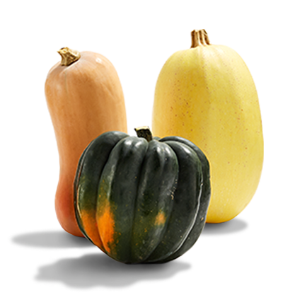 Product image of Hard Squash