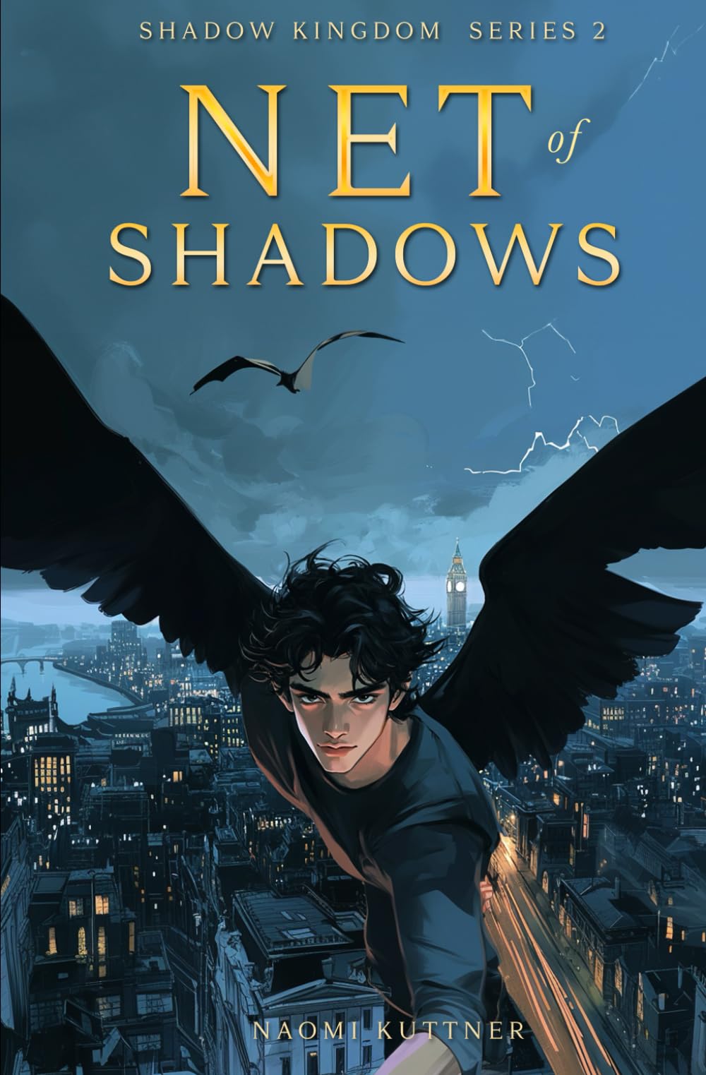Net of Shadows: Fast-Paced Urban Fantasy (Shadow Kingdom)