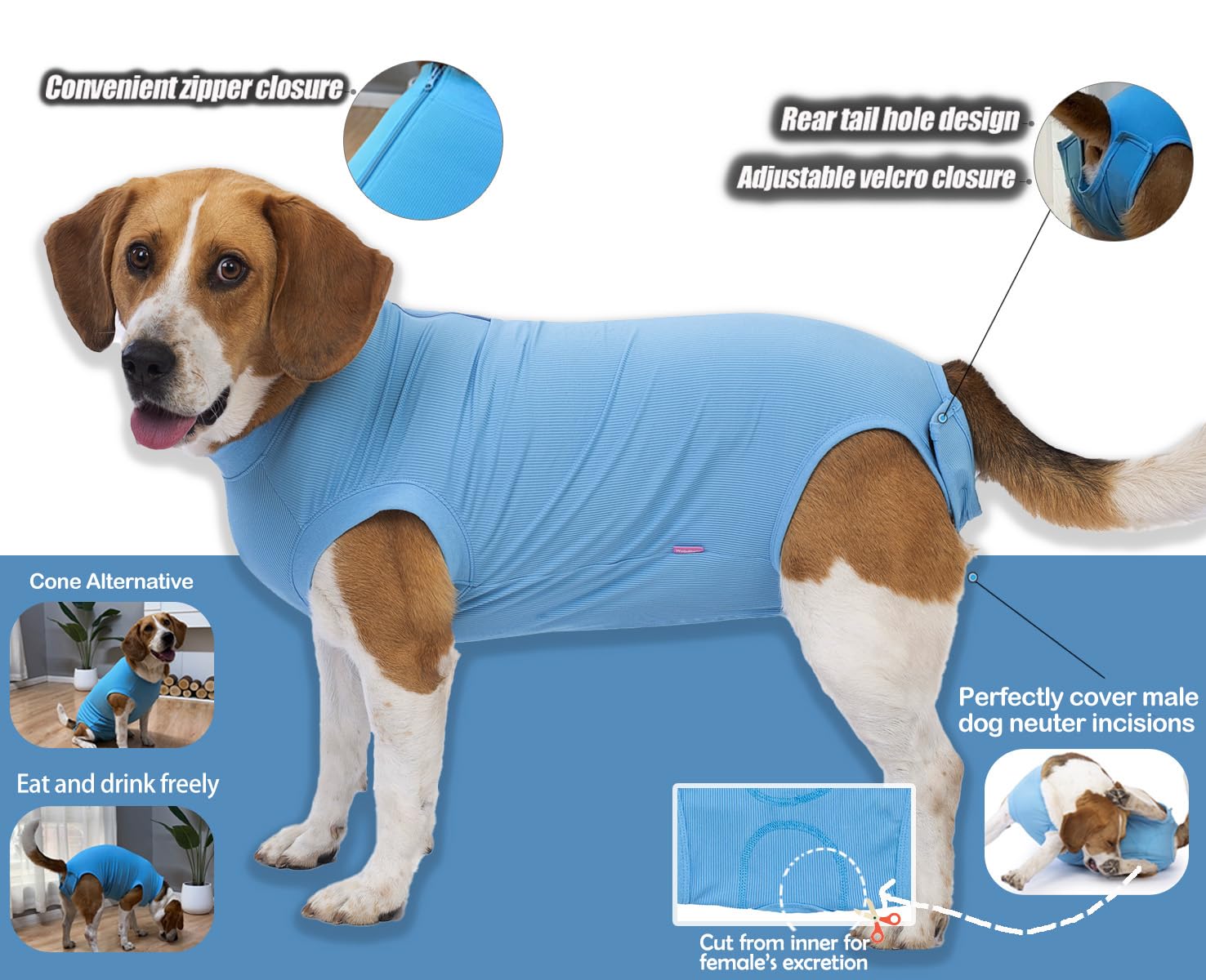 After Surgery E Collar After Neutering After Surgery Cone On Dog