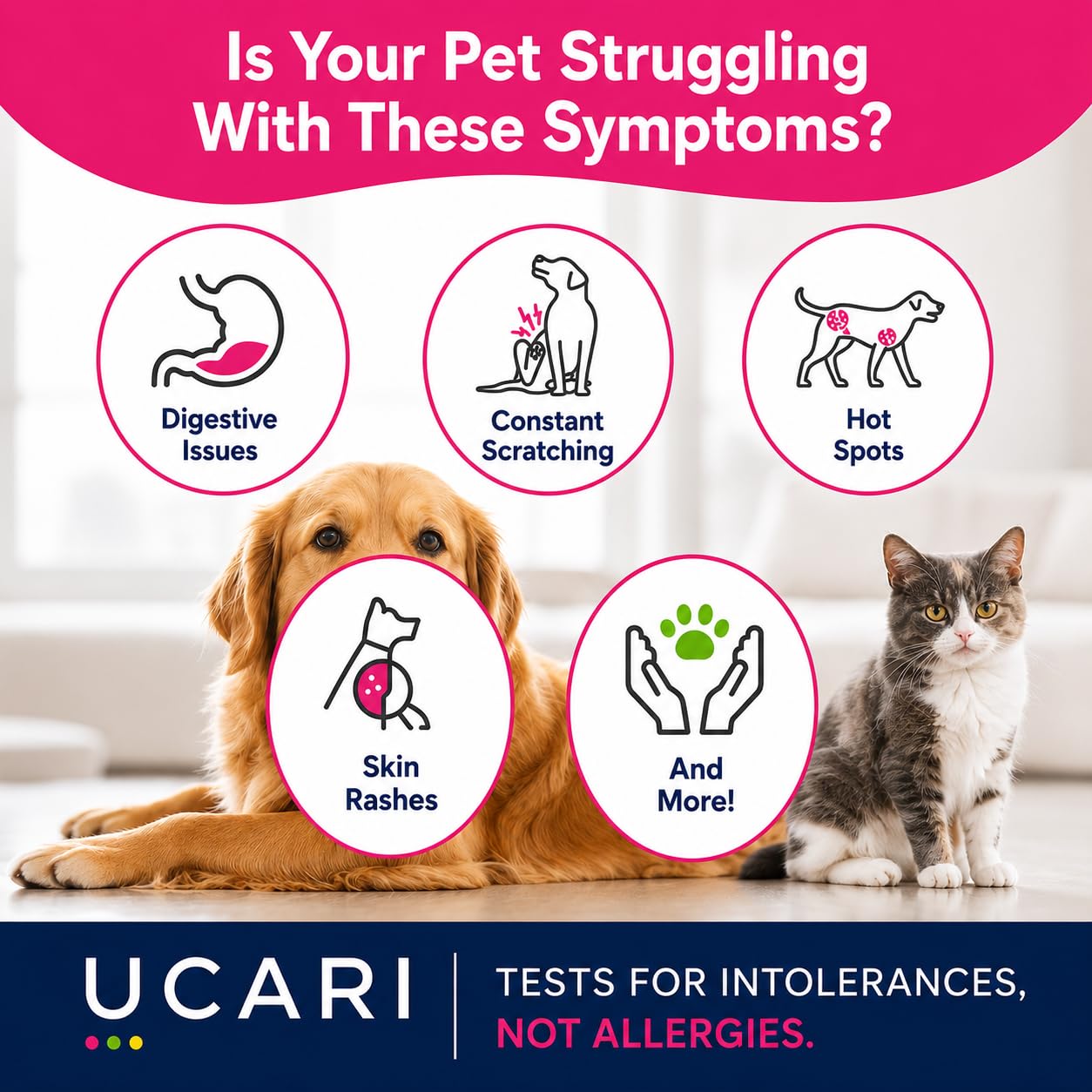 UCARI Prueba de sensibilidad de mascotas | Pantallas para más de 350 intolerancias | Análisis de alimentos e ingredientes | Método de muestra de cabello sin dolor | Resultados en 48 horas | Gatos y