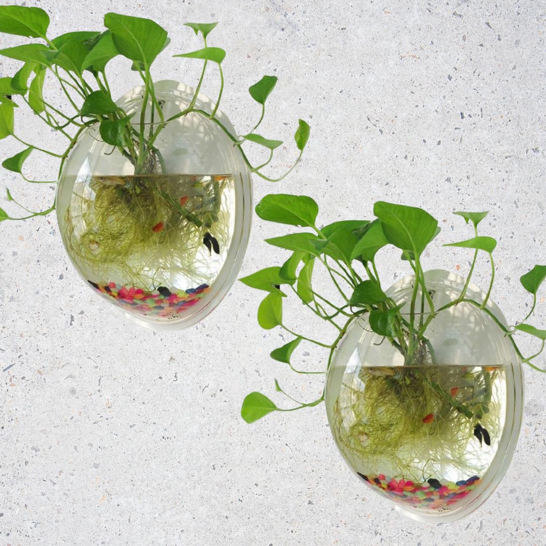 Premier Plants Wall Hanging Fish Bowl Acrylic White Colour with Free Color Stones (15 Inch Pack of 2) (B0CH17TKWQ) Amazon Price History, Amazon Price Tracker