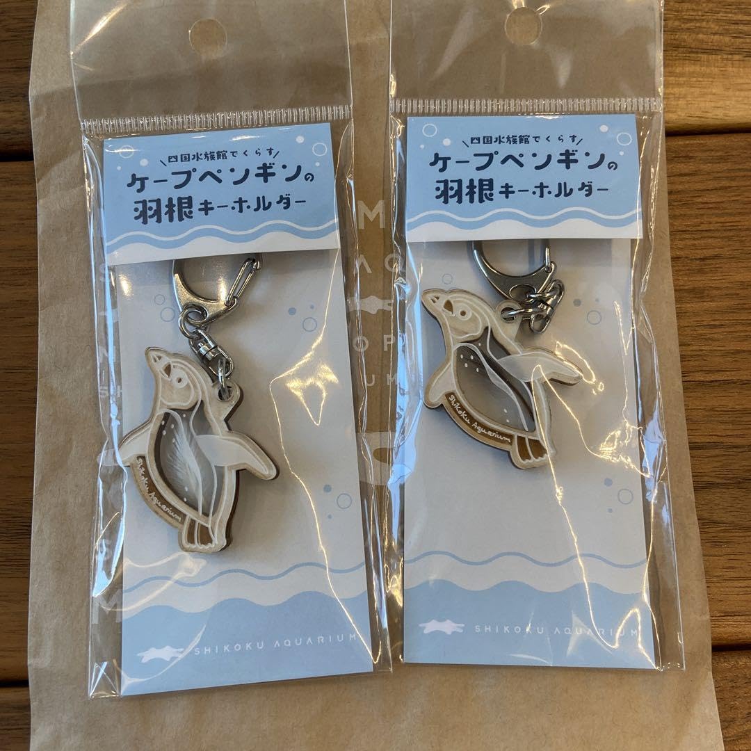 Amazon.co.jp: 四国水族館でくらすケープペンギンの羽根