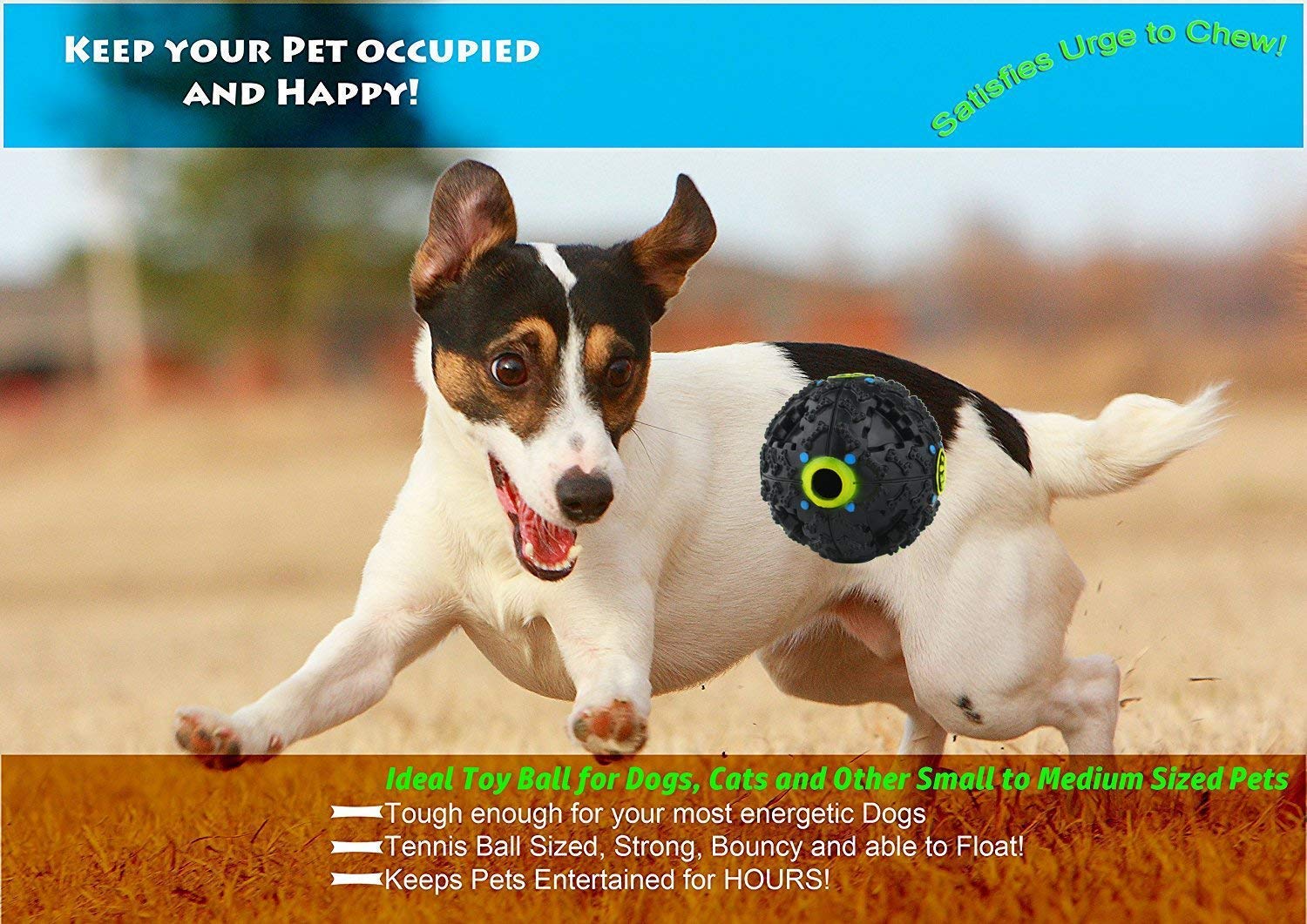 The DDS Store Dog Treat Balls, Interactive Food Treat Dispensing Dog Toys for Small Medium Large Dogs (Color May Vary) (Medium) (B08FZQH3MQ) Amazon Price History, Amazon Price Tracker