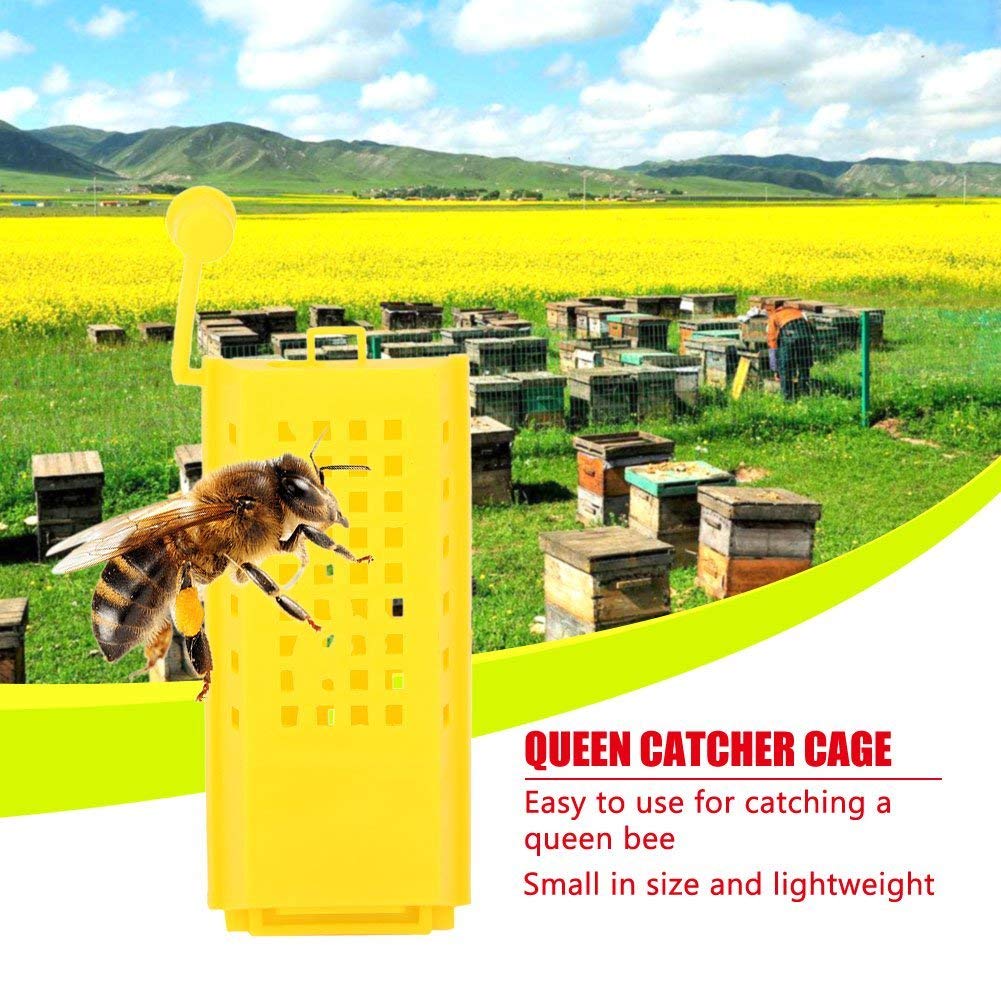10 Unidades Jaula Atrapa Abejas Reina De Plástico – Herramienta Profesional Para Apicultores