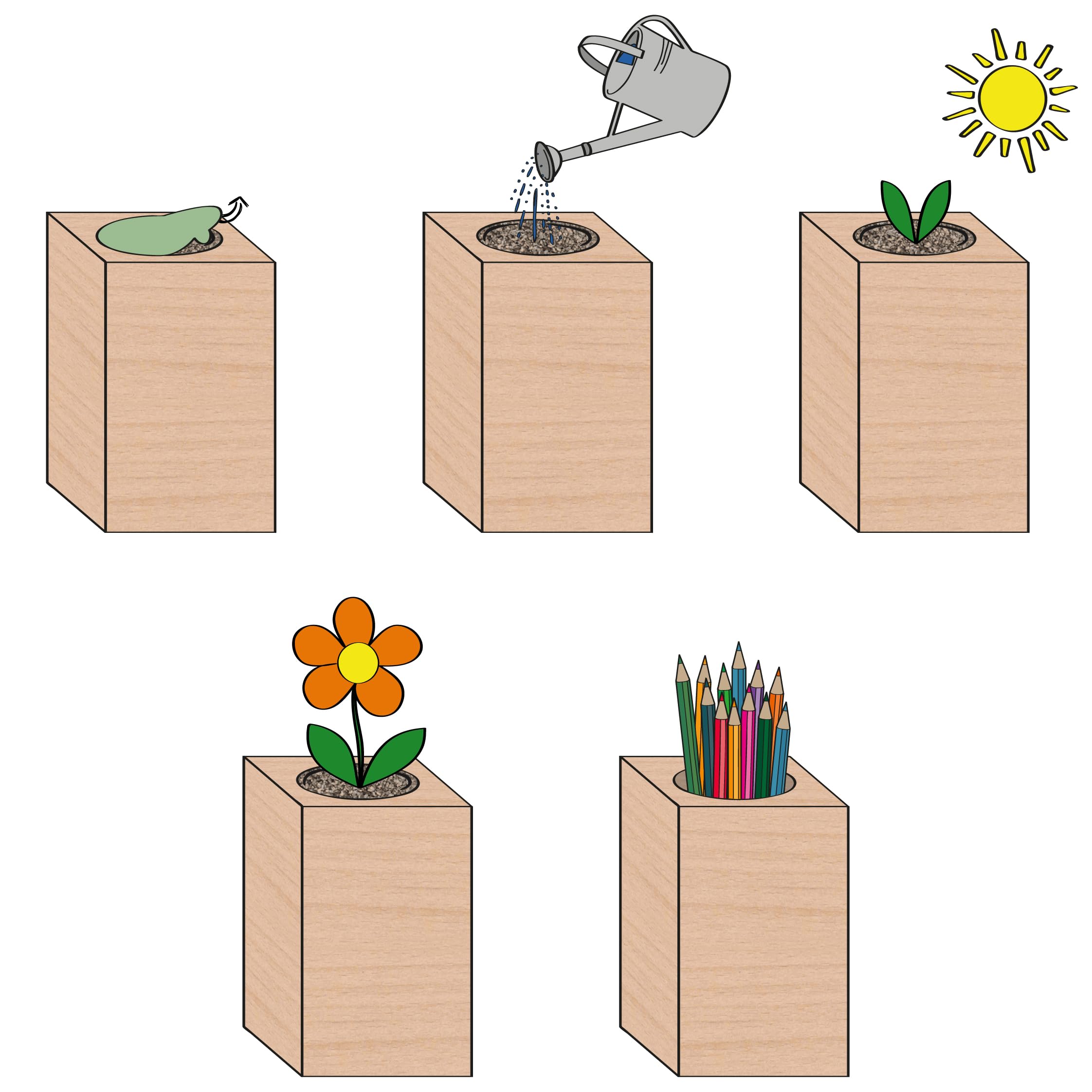 Feel Green ecoblock Rajski ptak kwiat, zrównoważony pomysł na prezent (100% przyjazny dla środowiska), Grow Your Own/zestaw do uprawy, rośliny w bloku drewnianym, wyprodukowano w Austrii