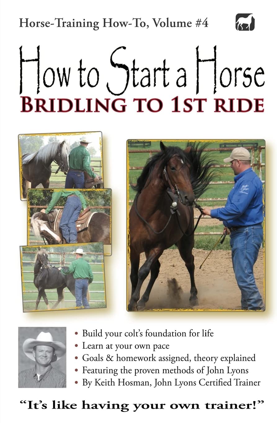 How to Start a Horse: Bridling to 1st Ride: 4 (Horse Training How-To)