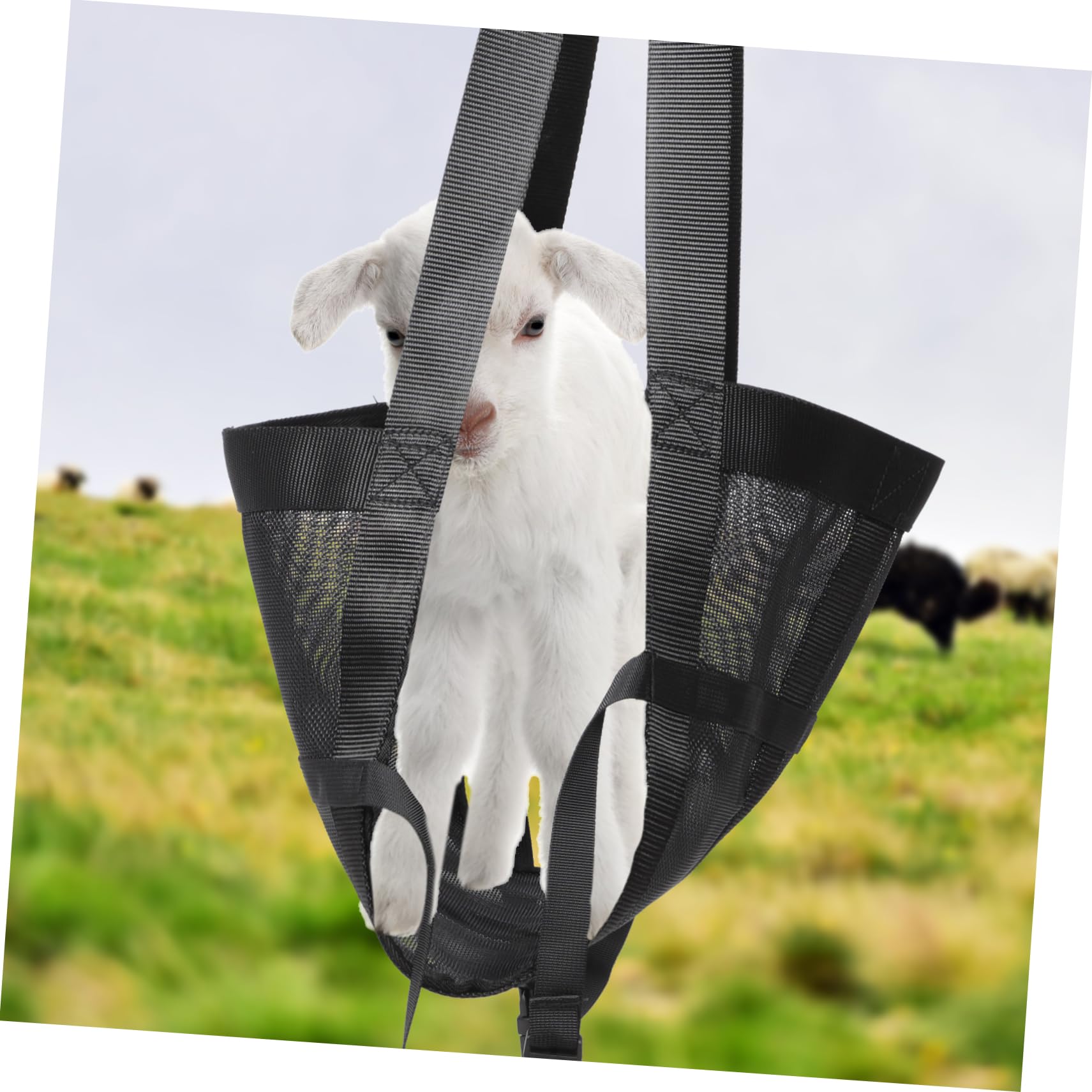 BESPORTBLE Imbracatura Per Pesare Bestiame Rete Per Pesare Bovini e Vitelli Animali Domestici Realizzata in Nylon Durevole e Sicuro Impedisce Agli Animali Di Muoversi Durante La Pesatura