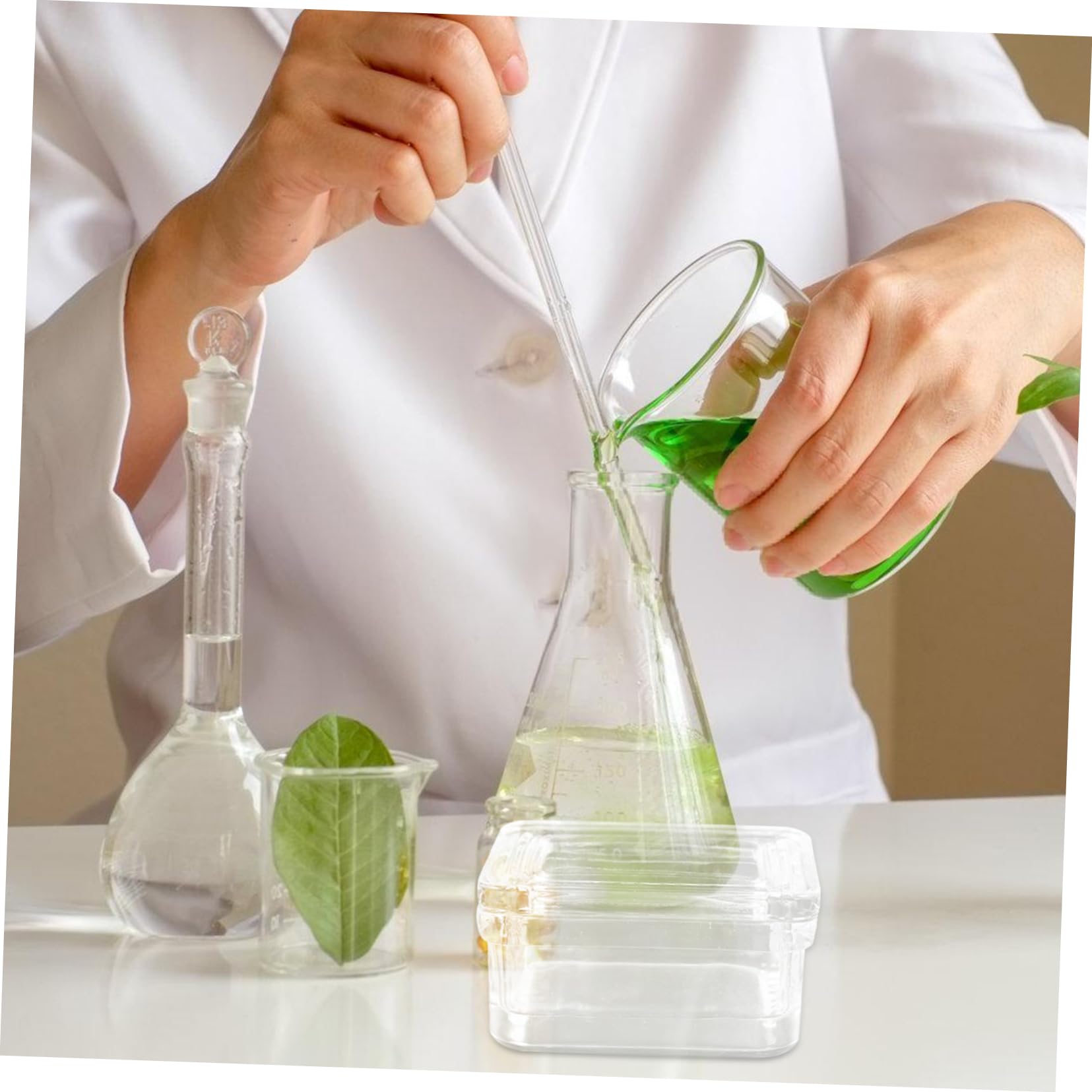 Laborglas Färbegefäß Für Glasobjektträger 10-fach Mit Ständer Hochtransparentes Korrosionsbeständiges Färbezylinderglas Für Biologie Medizin Und Forschung