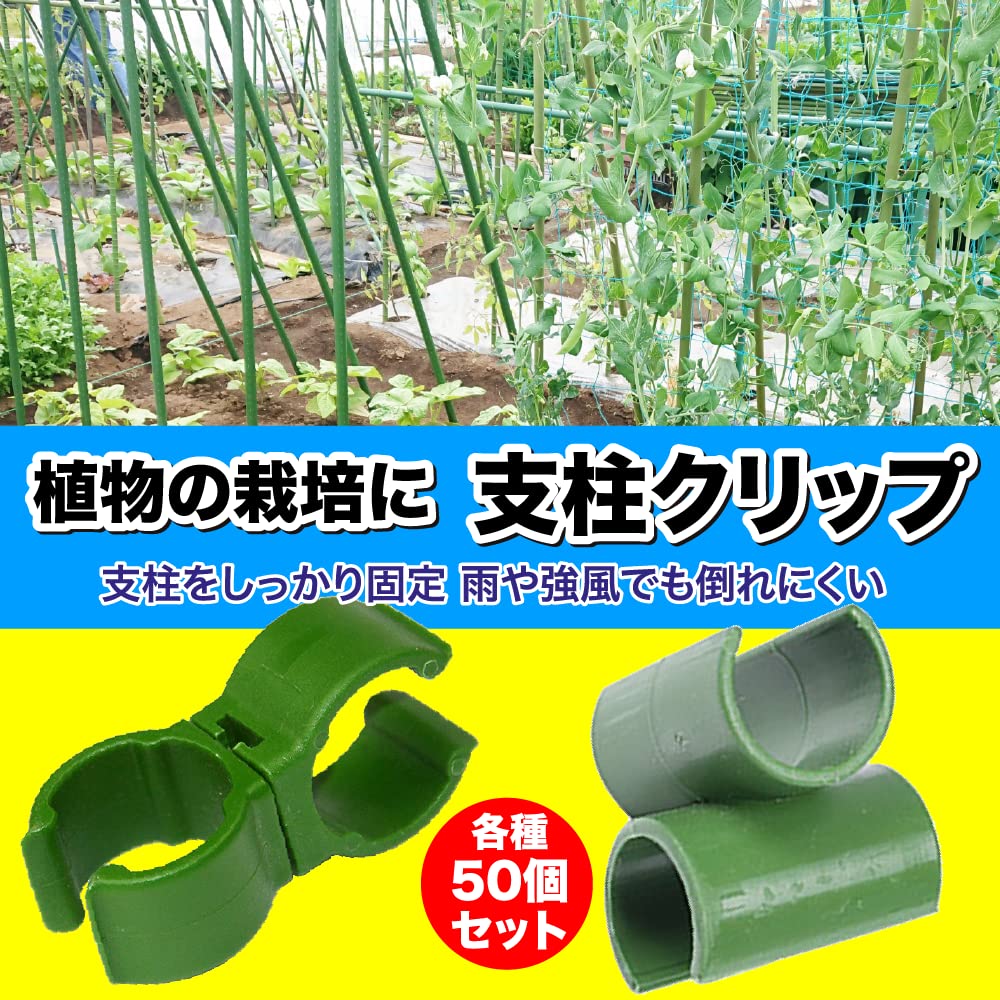 Amazon | AllBright 支柱クリップ クロスバンド ジョイント 支柱 留め