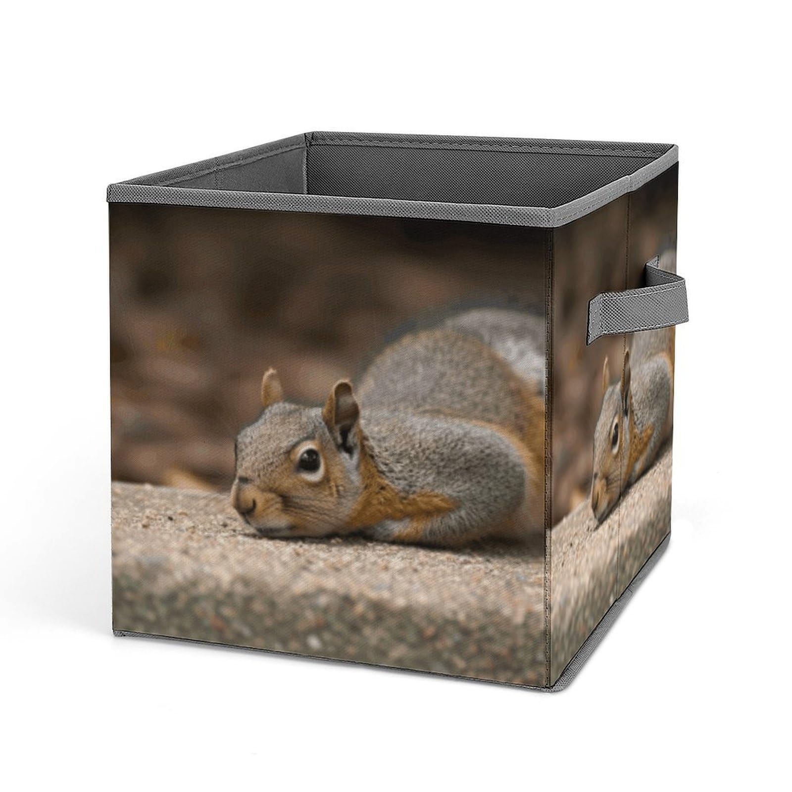BTCOWZRV Squirrel Just Laying Cube Storage Bins - 11 Inch Heavy Duty Fabric Closet Bins for Shelves, Cube Organizer - Collapsible Storage Boxes with Handle Decorative Clothing Storage Baskets