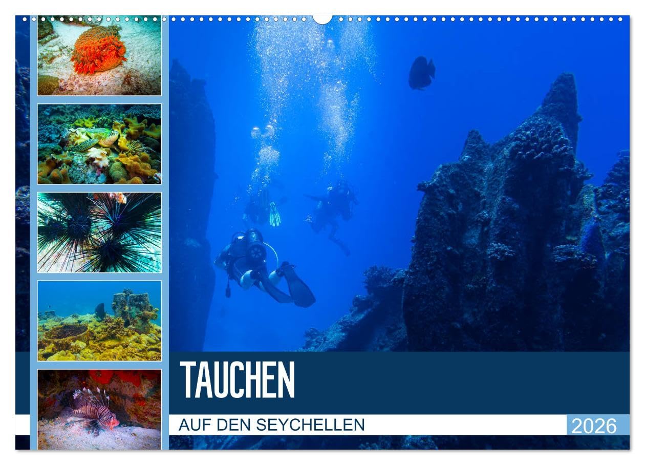 Tauchen auf den Sychellen (Wandkalender 2026 DIN A2 quer), CALVENDO Monatskalender: Faszination Unterwasserwelt