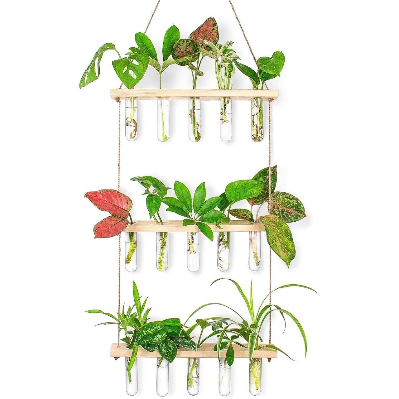 ecofynd 3-Tier Wall Hanging Test Tube Planter with Wooden Holder, Air Planter Glass Vase Holder with 15 Test Tube, Home Decor Hydroponic Plant Stand for Living Room, Office (TTP006) (B0CJ39F8MB) Amazon Price History, Amazon Price Tracker