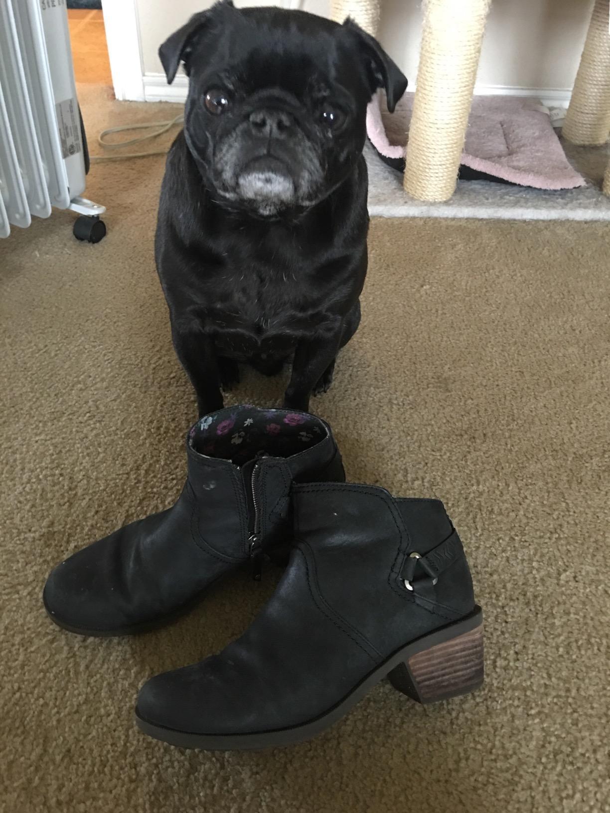 teva foxy ankle boot