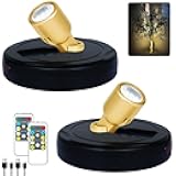HAMVIDNE LED Spotlight, Rechargeable Battery Spot Lights with Remote, Uplighting Indoor, Stick Plant Spotlights for Wall Art Display Artwork Picture Painting-2Pack