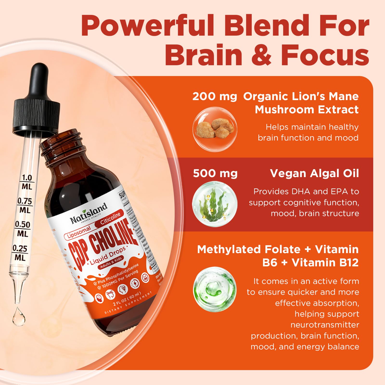 Citicoline 1000mg + Phosphatidylserine 300mg Supplements, CDP Choline for Kids & Adults, Citicoline Liquid Drops for Brain, Memory & Focus Support, Lion's Mane Mushroom, Omega-3, Methylfolate, 2 FL OZ — Amazon image 5