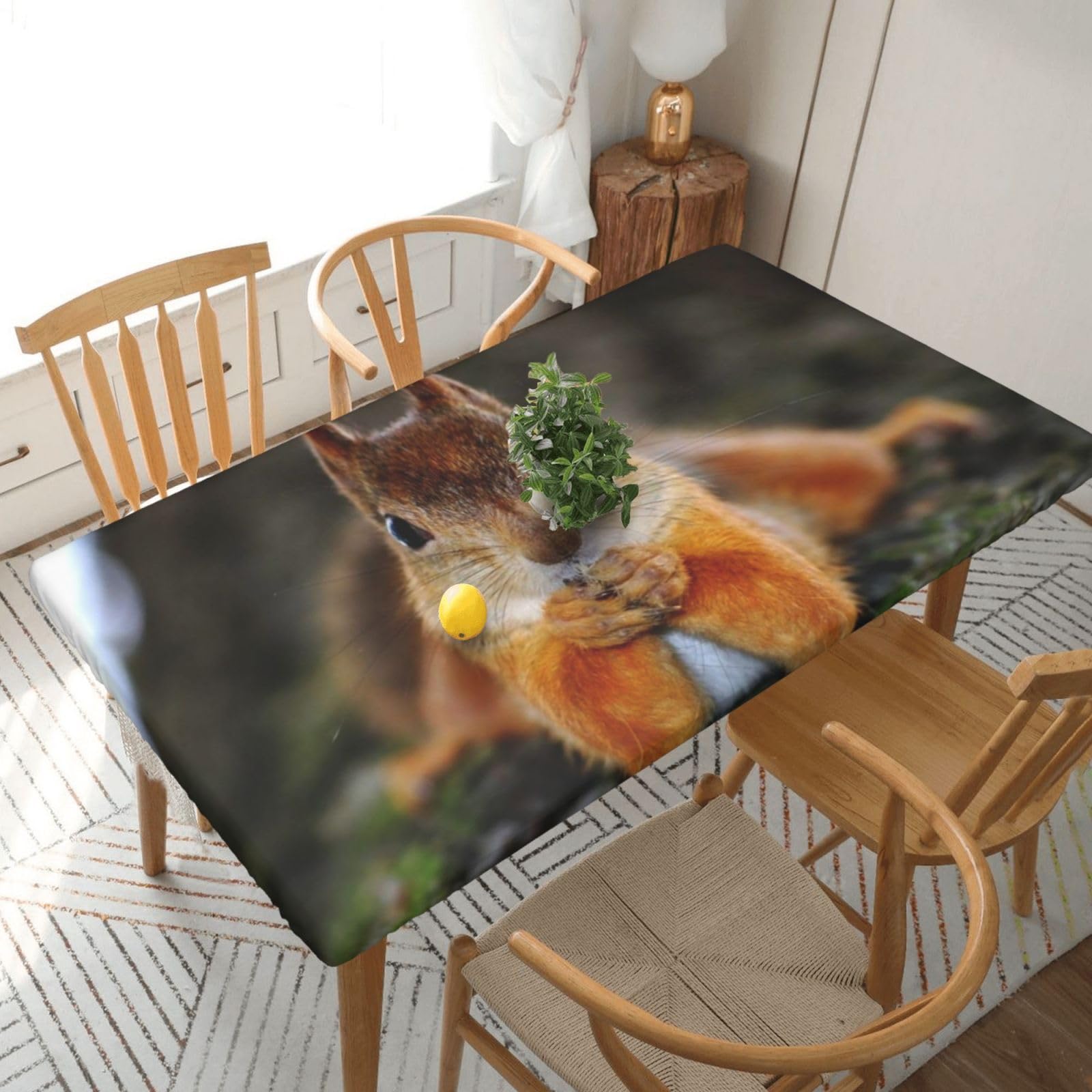 DCEHGEW Elastic Fitted Rectangle Tablecloth for 5ft Tables, Funny Squirrel Printed Oilproof & Washable Fabric Picnic Table Cloth Table Covers